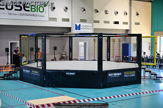 2025-05-24 Milano in the cage 14 00031 Miscellaneous